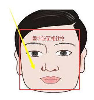 國字臉 面相|國字臉面相分析